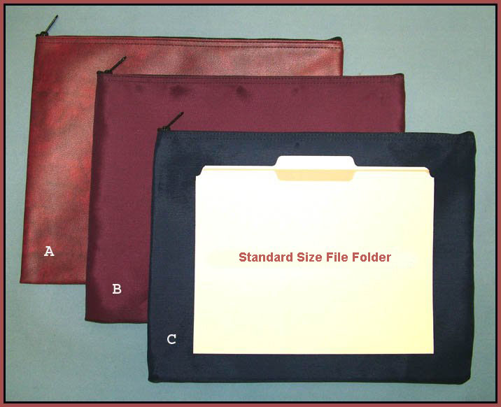 3 Larger Portfolio Bags